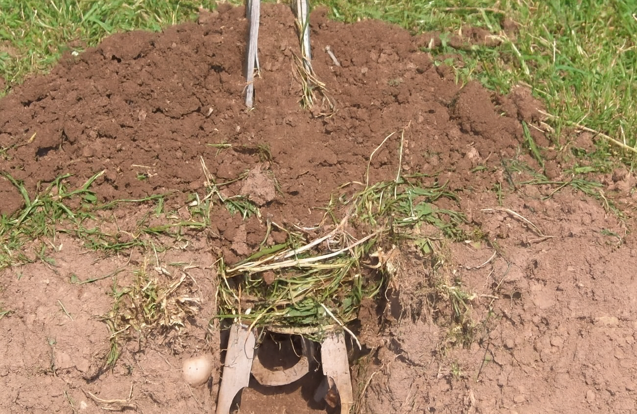 Trap placement demonstration